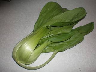 A bok choy leaf