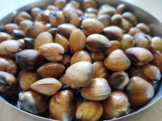 A heap of clams at a market