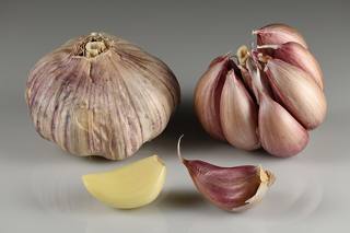 Garlic bulbs and cloves
