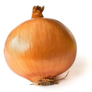 A yellow onion