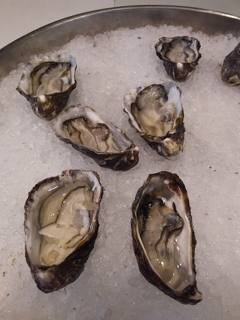 Fresh oysters in their shells on ice