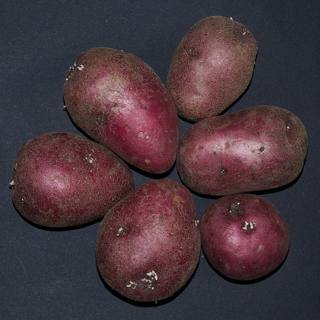 Red potatoes