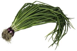 A bunch of spring onions