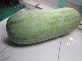 A whole winter melon
